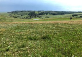 151243 Basin Road, Rural Willow Creek No. 26, M.D. of, Alberta T0L 1R0, ,Land,For Sale,Basin,A1211593