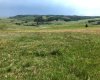 151243 Basin Road, Rural Willow Creek No. 26, M.D. of, Alberta T0L 1R0, ,Land,For Sale,Basin,A1211593