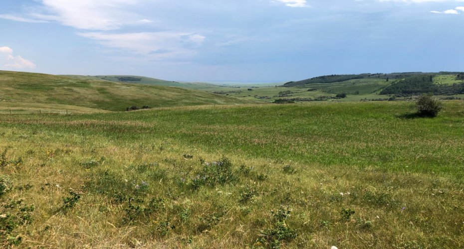 151243 Basin Road, Rural Willow Creek No. 26, M.D. of, Alberta T0L 1R0, ,Land,For Sale,Basin,A1211593