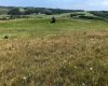 151243 Basin Road, Rural Willow Creek No. 26, M.D. of, Alberta T0L 1R0, ,Land,For Sale,Basin,A1211593