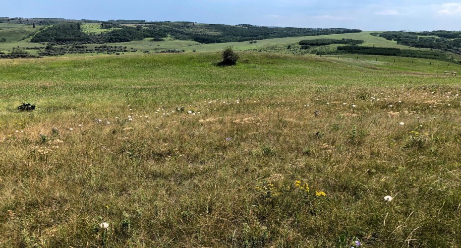 151243 Basin Road, Rural Willow Creek No. 26, M.D. of, Alberta T0L 1R0, ,Land,For Sale,Basin,A1211593