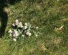 151243 Basin Road, Rural Willow Creek No. 26, M.D. of, Alberta T0L 1R0, ,Land,For Sale,Basin,A1211593