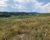 151243 Basin Road, Rural Willow Creek No. 26, M.D. of, Alberta T0L 1R0, ,Land,For Sale,Basin,A1211593