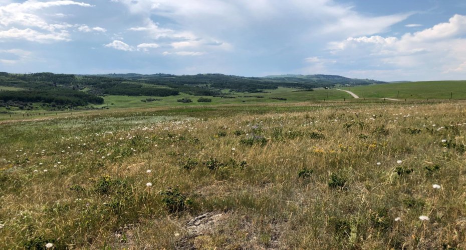 151243 Basin Road, Rural Willow Creek No. 26, M.D. of, Alberta T0L 1R0, ,Land,For Sale,Basin,A1211593