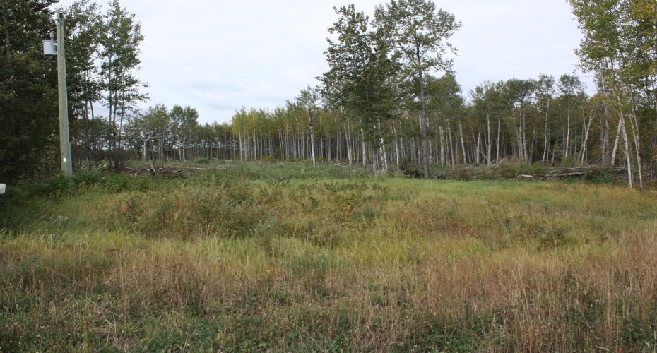 110 67324 MISSION Road, Lac La Biche, Alberta T0A 2C1, ,Land,For Sale,67324 MISSION,A2224152