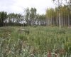 110 67324 MISSION Road, Lac La Biche, Alberta T0A 2C1, ,Land,For Sale,67324 MISSION,A2224152