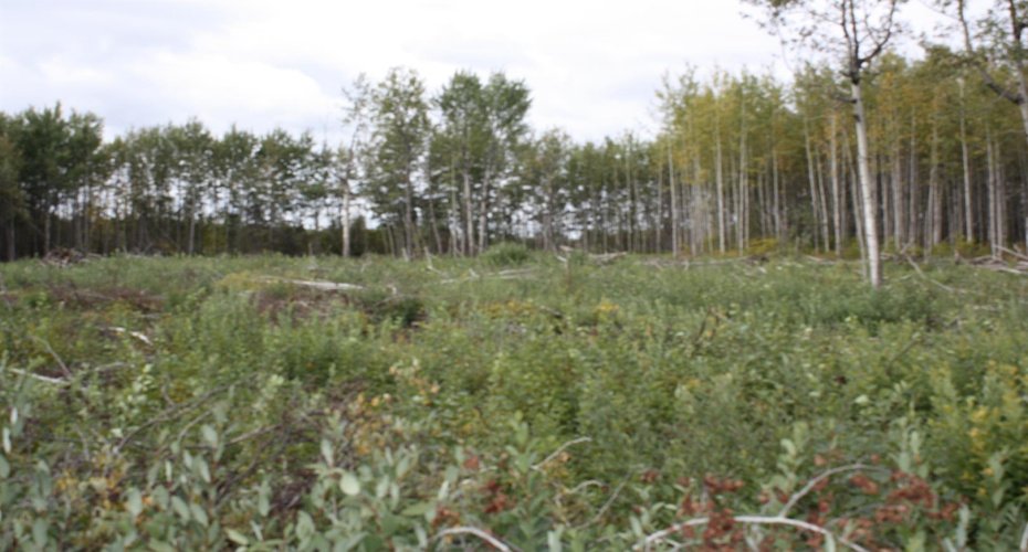 110 67324 MISSION Road, Lac La Biche, Alberta T0A 2C1, ,Land,For Sale,67324 MISSION,A2224152