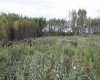 110 67324 MISSION Road, Lac La Biche, Alberta T0A 2C1, ,Land,For Sale,67324 MISSION,A2224152