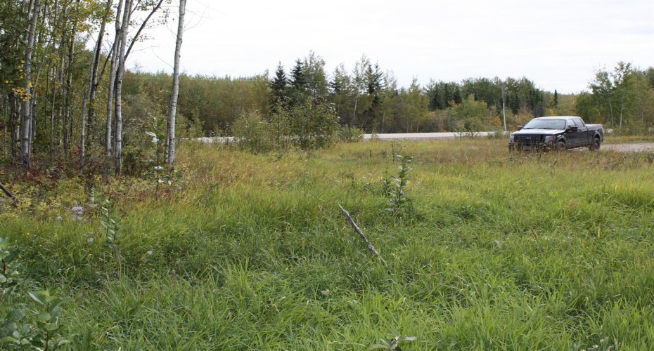 110 67324 MISSION Road, Lac La Biche, Alberta T0A 2C1, ,Land,For Sale,67324 MISSION,A2224152