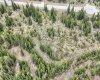 34364 Range Road 42, Rural Mountain View County, Alberta T0M 1X0, ,Land,For Sale,Range Road 42,A2224204