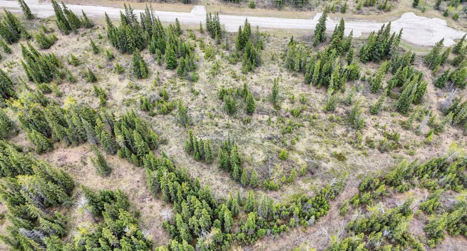 34364 Range Road 42, Rural Mountain View County, Alberta T0M 1X0, ,Land,For Sale,Range Road 42,A2224204