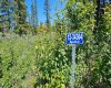 34364 Range Road 42, Rural Mountain View County, Alberta T0M 1X0, ,Land,For Sale,Range Road 42,A2224204