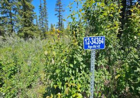34364 Range Road 42, Rural Mountain View County, Alberta T0M 1X0, ,Land,For Sale,Range Road 42,A2224204