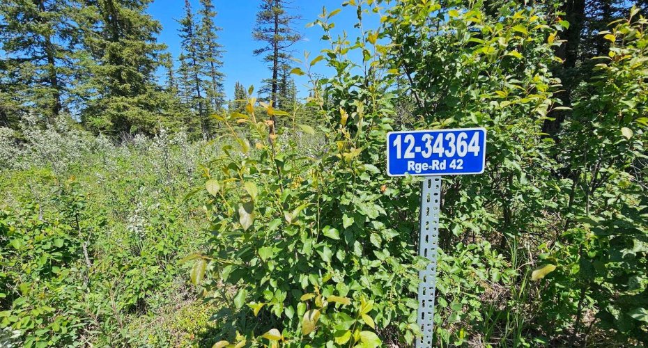34364 Range Road 42, Rural Mountain View County, Alberta T0M 1X0, ,Land,For Sale,Range Road 42,A2224204