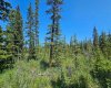 34364 Range Road 42, Rural Mountain View County, Alberta T0M 1X0, ,Land,For Sale,Range Road 42,A2224204