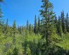 34364 Range Road 42, Rural Mountain View County, Alberta T0M 1X0, ,Land,For Sale,Range Road 42,A2224204