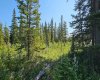 34364 Range Road 42, Rural Mountain View County, Alberta T0M 1X0, ,Land,For Sale,Range Road 42,A2224204