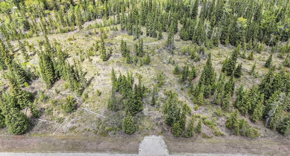 34364 Range Road 42, Rural Mountain View County, Alberta T0M 1X0, ,Land,For Sale,Range Road 42,A2224204