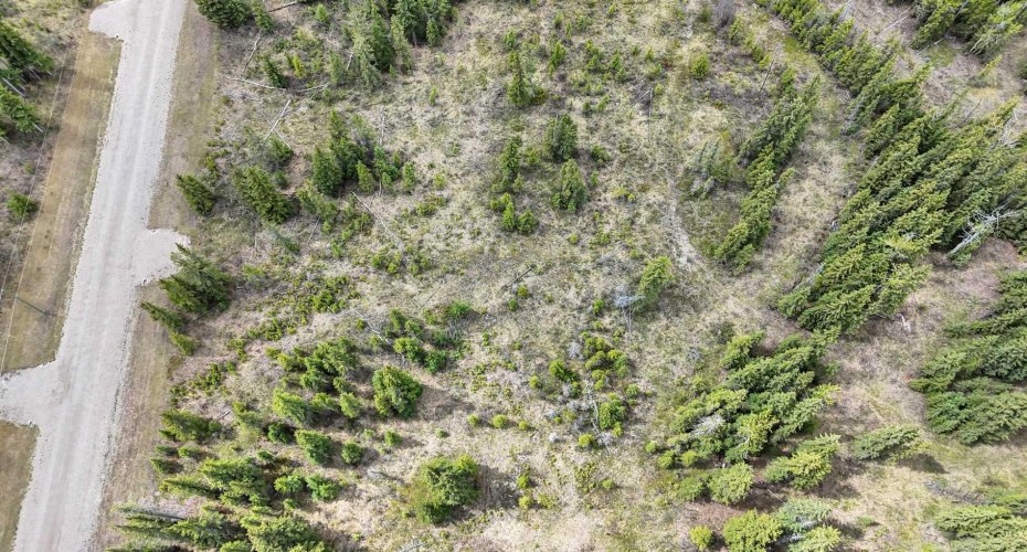 34364 Range Road 42, Rural Mountain View County, Alberta T0M 1X0, ,Land,For Sale,Range Road 42,A2224204