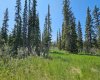 34364 Range Road 42, Rural Mountain View County, Alberta T0M 1X0, ,Land,For Sale,Range Road 42,A2224208