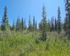 34364 Range Road 42, Rural Mountain View County, Alberta T0M 1X0, ,Land,For Sale,Range Road 42,A2224208