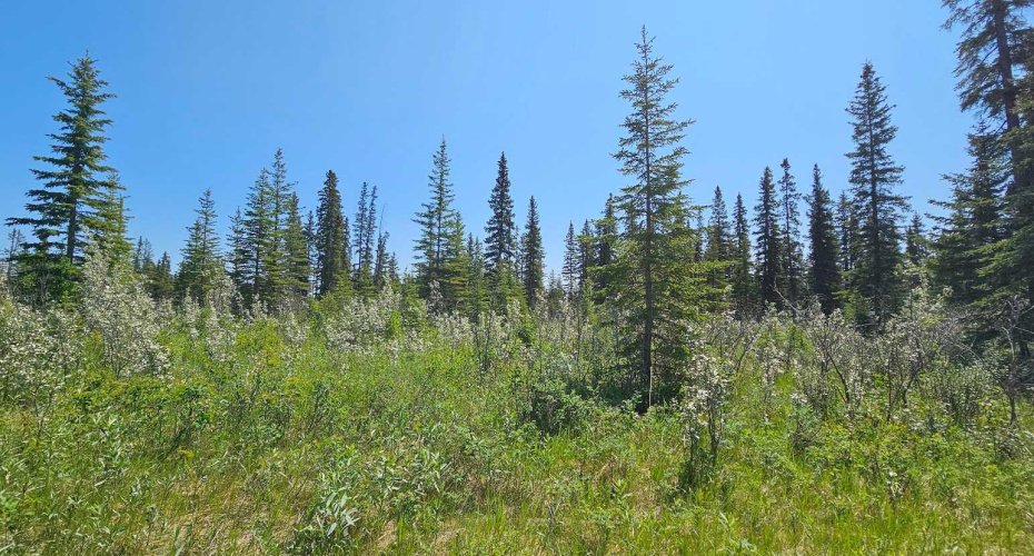34364 Range Road 42, Rural Mountain View County, Alberta T0M 1X0, ,Land,For Sale,Range Road 42,A2224208