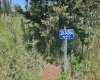34364 Range Road 42, Rural Mountain View County, Alberta T0M 1X0, ,Land,For Sale,Range Road 42,A2224213