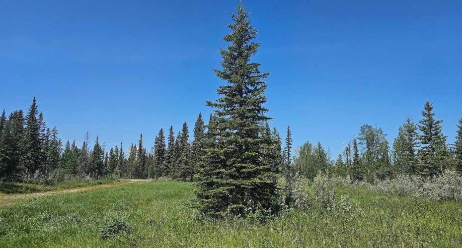 34364 Range Road 42, Rural Mountain View County, Alberta T0M 1X0, ,Land,For Sale,Range Road 42,A2224213