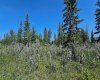 34364 Range Road 42, Rural Mountain View County, Alberta T0M 1X0, ,Land,For Sale,Range Road 42,A2224213