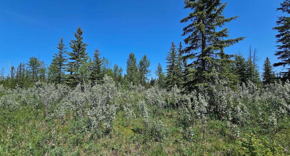 34364 Range Road 42, Rural Mountain View County, Alberta T0M 1X0, ,Land,For Sale,Range Road 42,A2224213