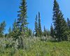 34364 Range Road 42, Rural Mountain View County, Alberta T0M 1X0, ,Land,For Sale,Range Road 42,A2224213