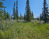 34364 Range Road 42, Rural Mountain View County, Alberta T0M 1X0, ,Land,For Sale,Range Road 42,A2224213