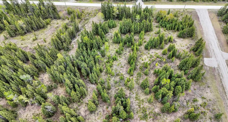 34364 Range Road 42, Rural Mountain View County, Alberta T0M 1X0, ,Land,For Sale,Range Road 42,A2223874