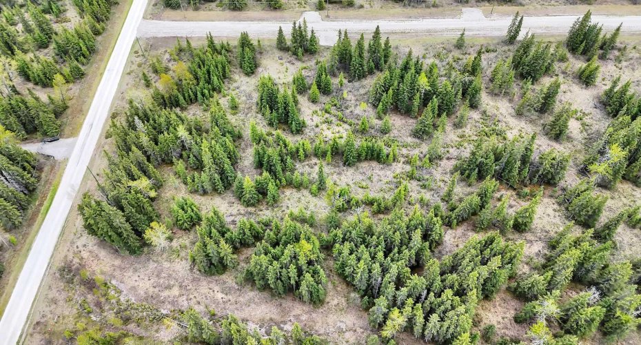 34364 Range Road 42, Rural Mountain View County, Alberta T0M 1X0, ,Land,For Sale,Range Road 42,A2223874