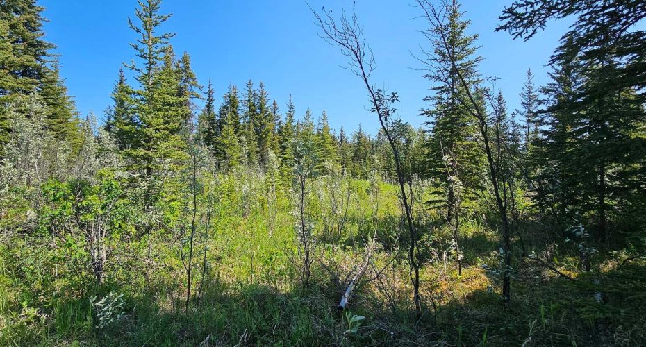 34364 Range Road 42, Rural Mountain View County, Alberta T0M 1X0, ,Land,For Sale,Range Road 42,A2223874