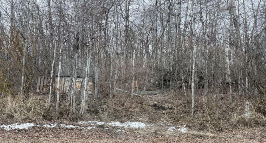 lot 6 Baptiste drive, West Baptiste, Alberta T9S 1R8, ,Land,For Sale,Baptiste drive,A2224255