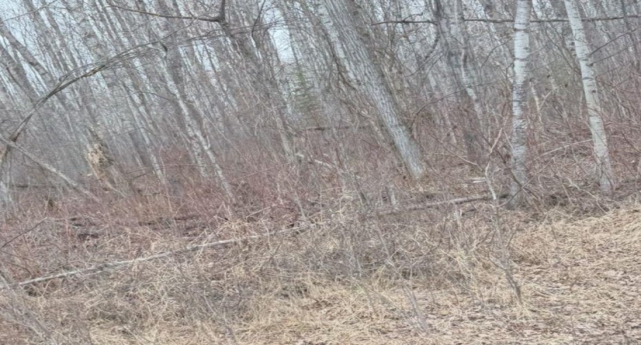 lot 6 Baptiste drive, West Baptiste, Alberta T9S 1R8, ,Land,For Sale,Baptiste drive,A2224255