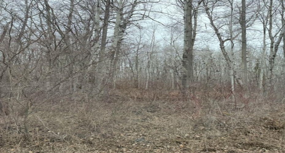 lot 6 Baptiste drive, West Baptiste, Alberta T9S 1R8, ,Land,For Sale,Baptiste drive,A2224255