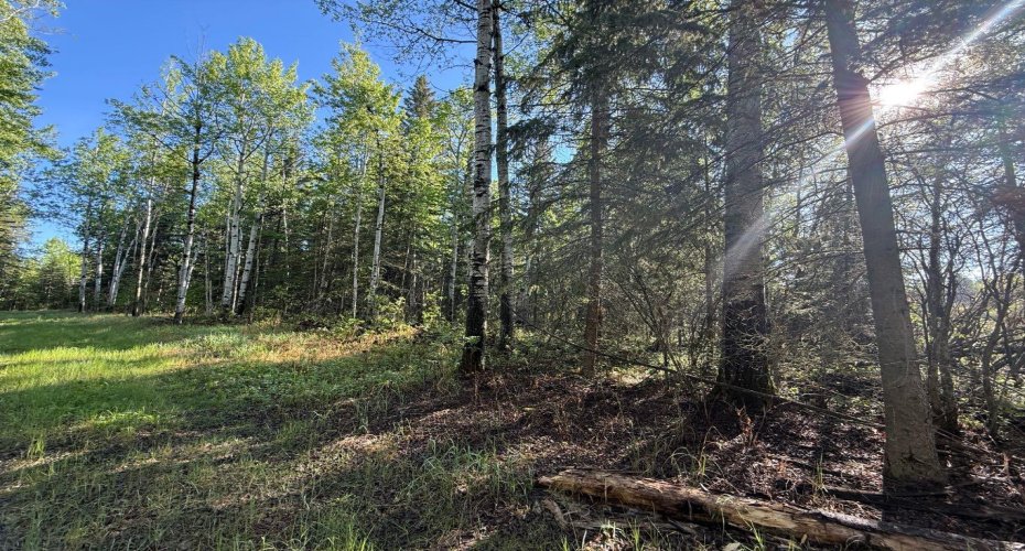 Township road 640, Perryvale, Alberta T0G0R0, ,Land,For Sale,640,A2224431