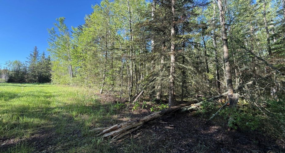 Township road 640, Perryvale, Alberta T0G0R0, ,Land,For Sale,640,A2224431