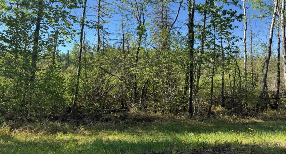 Township road 640, Perryvale, Alberta T0G0R0, ,Land,For Sale,640,A2224431