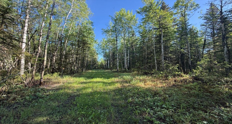 Township road 640, Perryvale, Alberta T0G0R0, ,Land,For Sale,640,A2224431