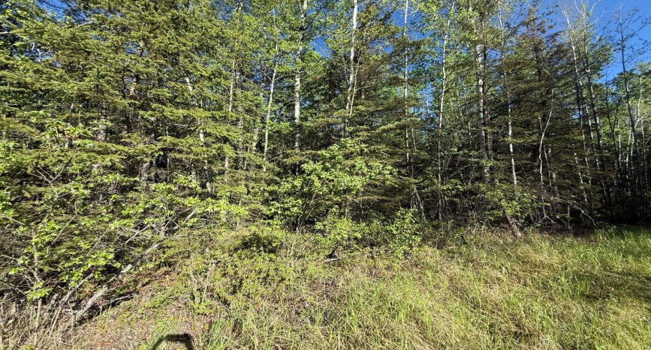 Township road 640, Perryvale, Alberta T0G0R0, ,Land,For Sale,640,A2224431