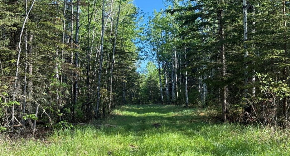 Township road 640, Perryvale, Alberta T0G0R0, ,Land,For Sale,640,A2224431