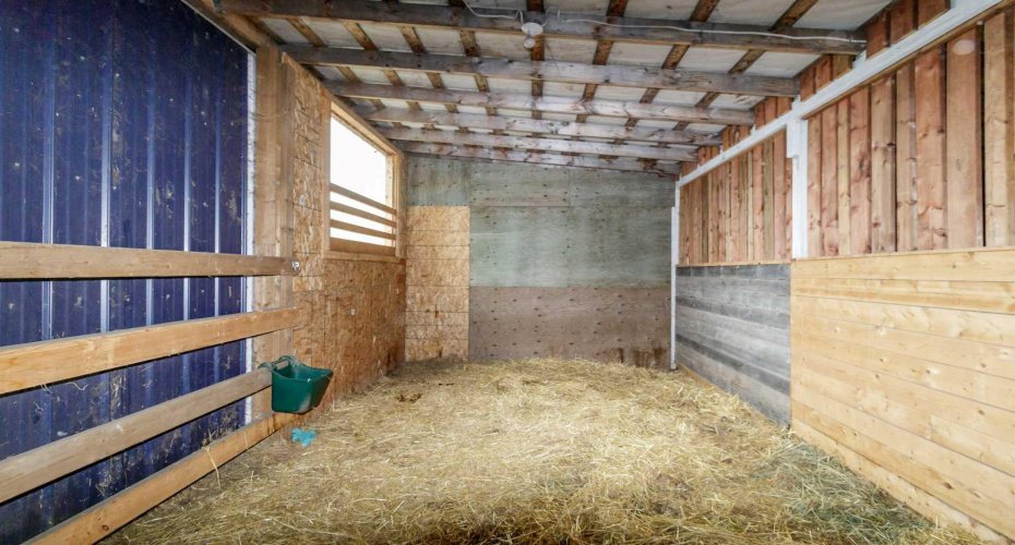 25579 Twp Rd 382, Rural Red Deer County, Alberta T4N 5E2, 5 Bedrooms Bedrooms, ,4 BathroomsBathrooms,Agri-business,For Sale,Twp Rd 382,A2223876