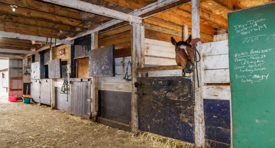 25579 Twp Rd 382, Rural Red Deer County, Alberta T4N 5E2, 5 Bedrooms Bedrooms, ,4 BathroomsBathrooms,Agri-business,For Sale,Twp Rd 382,A2223876