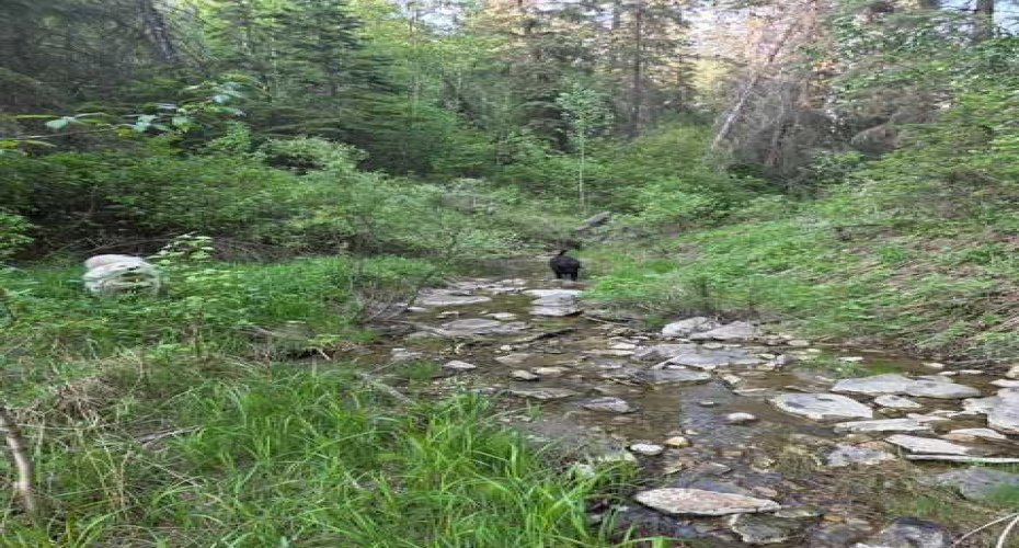 25579 Twp Rd 382, Rural Red Deer County, Alberta T4N 5E2, 5 Bedrooms Bedrooms, ,4 BathroomsBathrooms,Agri-business,For Sale,Twp Rd 382,A2223876