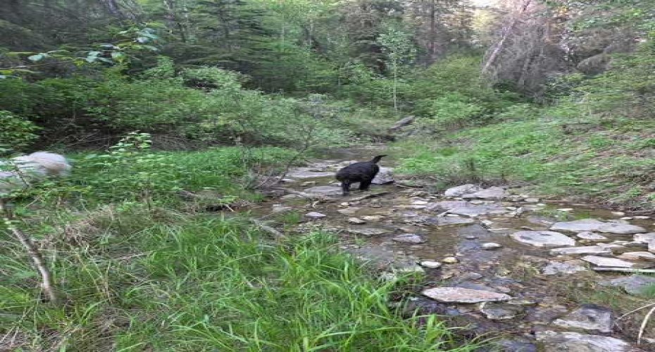 25579 Twp Rd 382, Rural Red Deer County, Alberta T4N 5E2, 5 Bedrooms Bedrooms, ,4 BathroomsBathrooms,Agri-business,For Sale,Twp Rd 382,A2223876