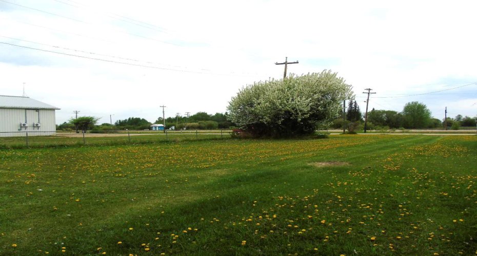 Lot 2 1st Street, Faust, Alberta T0G 0X0, ,Land,For Sale,1st,A2225211