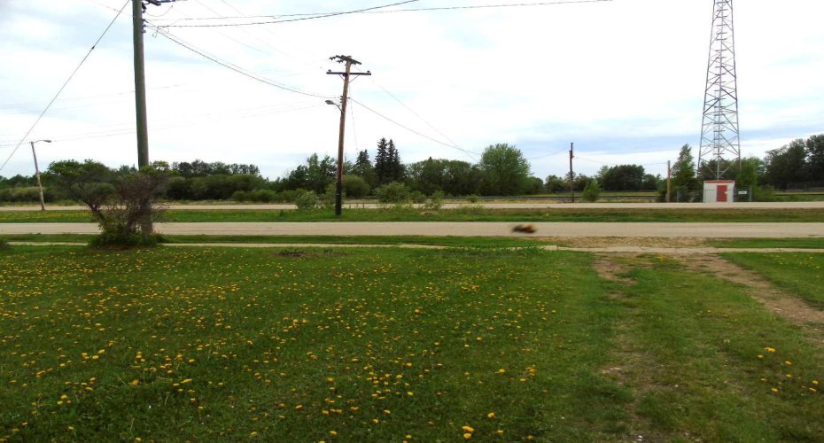Lot 2 1st Street, Faust, Alberta T0G 0X0, ,Land,For Sale,1st,A2225211